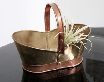 May include: A brass planter with a copper handle and a small air plant inside. The planter is sitting on a black surface.