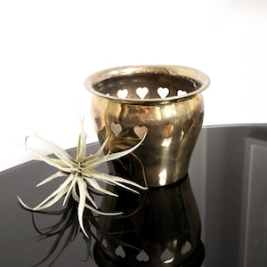 May include: A gold brass planter with heart-shaped cutouts. The planter is sitting on a black surface with a small air plant in front of it.