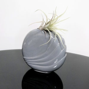 May include: A gray ceramic vase with a wavy design, featuring a small air plant inside.
