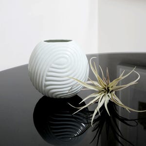May include: White ceramic vase with a textured, wavy design. The vase is sitting on a black surface with a small, light brown plant.