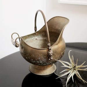 May include: Antique brass coal scuttle with a curved handle and a decorative lion's head detail. The scuttle has a ceramic handle on the side and sits on a round base. A dried plant is next to the scuttle.