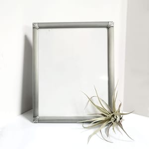 Könnte beinhalten: Ein silberner Bilderrahmen mit einem dekorativen Rand. Der Rahmen ist leer und hat einen weißen Hintergrund. Im Vordergrund befindet sich eine kleine Luftpflanze.