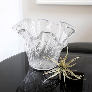 May include: A clear glass bowl with a textured surface and a ruffled rim. The bowl sits on a reflective black surface next to a small, spiky air plant. The bowl's design gives it a unique, organic look.