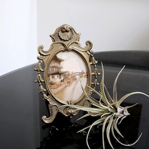 May include: A vintage brass picture frame with an ornate design and a small oval opening. The frame is standing on a black surface with a green air plant in front of it.