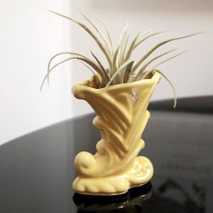 May include: A yellow ceramic vase with a unique, stylized design, shaped like a boot. The vase is filled with a small air plant.