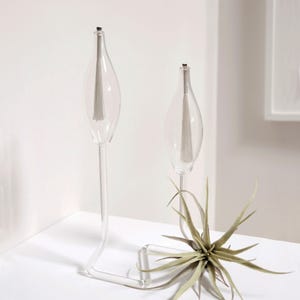 May include: Two clear glass air plant holders with a distinctive, elongated teardrop shape. Each holder has a slender stem and a silver interior. A green air plant sits in one holder, adding a natural element to the design.