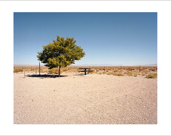 Original Fine Art Photography / Print / Photograph, Desert, Road Trip, Rest Stop, Americana, Minimalist, Lonely Film Picnic Nevada Summer
