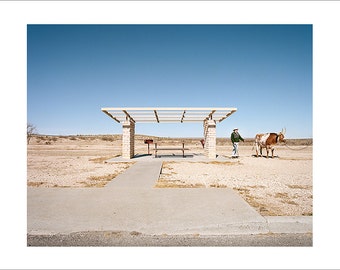 Original Fine Art Photograph Print Photography Bevo University of Texas Vintage Road Trip Americana Desert Minimalist Film Longhorn