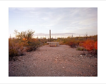 Original Fine Art Photograph Print Photography Landscape Desert Saguaro Road Trip Americana National Park Minimalist Film Sunset Cacti