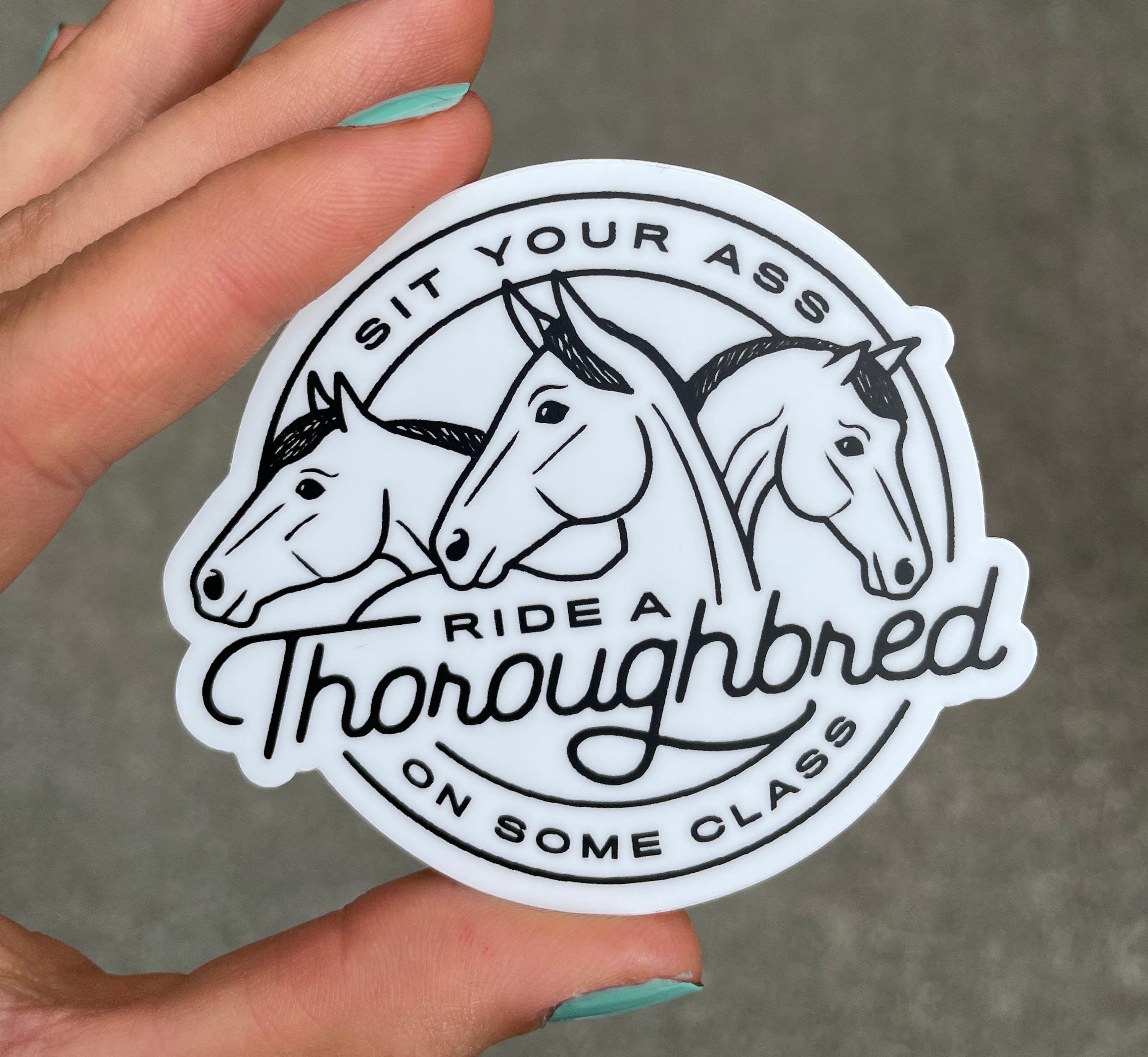 Ride A Thoroughbred Sticker | Horse Sticker - OTTB Sticker - OTTB Dec…