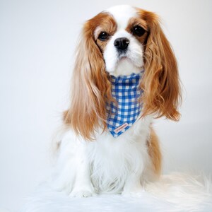 Dog Bandana Candy Canes & Coffee image 4