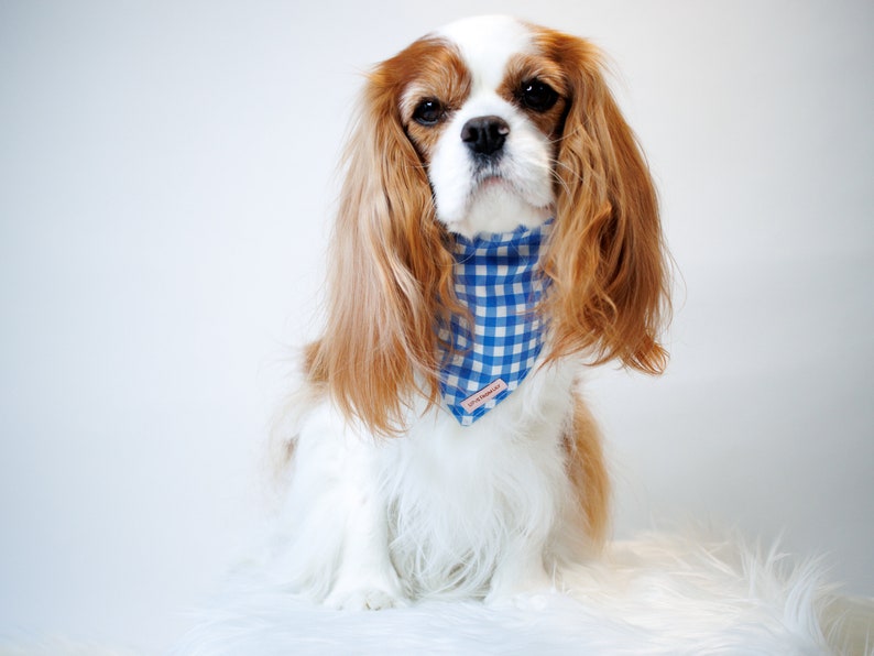 Dog Bandana Candy Canes & Coffee image 4