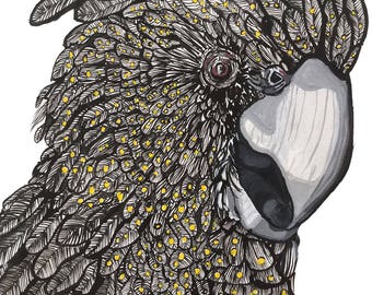 May include: A detailed illustration of a black cockatoo's head and upper body. The bird's feathers are black with white and yellow accents. The beak is gray, and the eye is a deep red. The artwork is set against a white background.