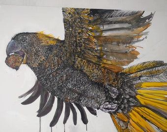 May include: Watercolor painting of a yellow-tailed black cockatoo in flight. The bird has black, brown, and yellow feathers, a dark beak, and is holding food. The artwork is on a white background.