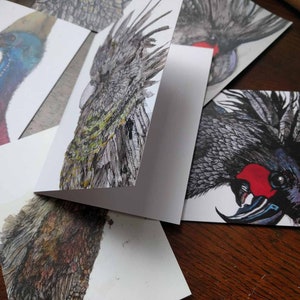 Cartes de voeux-blanc prêt à écrire sur les cartes - d’oiseau australien
