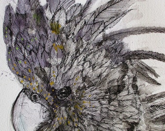 May include: Detailed watercolor illustration of a black cockatoo's head. The artwork features intricate feather detailing in shades of gray, black, and touches of yellow and green. The bird's eye and beak are clearly defined against a white background.