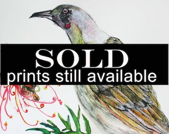 May include: Watercolor illustration of a bird with detailed feathering in shades of brown, yellow, and gray. The bird is perched near red and orange flowers and green leaves. Text on the image reads "SOLD prints still available."
