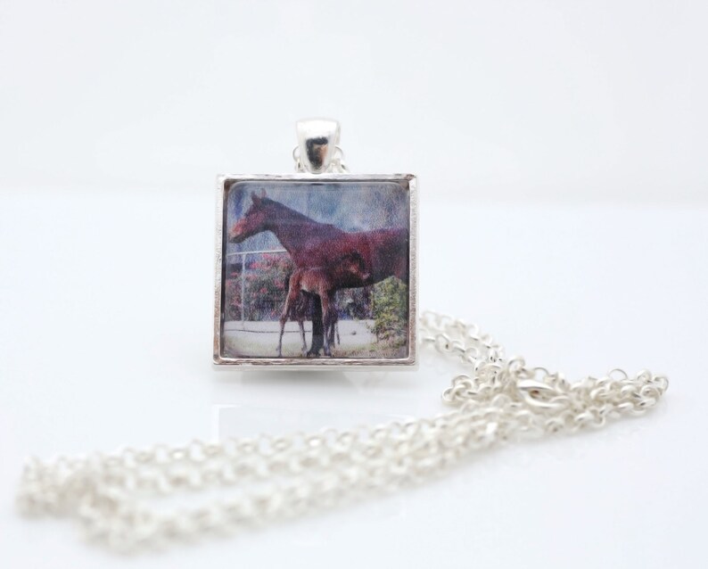 Horse And Foal Necklace, Photography, Photo Jewelry, Animal Photography image 1