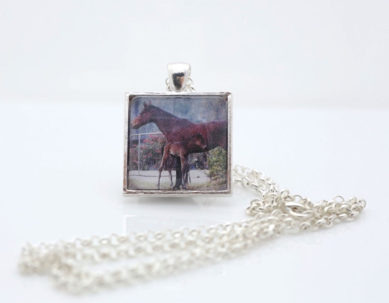 Horse And Foal Necklace, Photography, Photo Jewelry, Animal Photography image 2