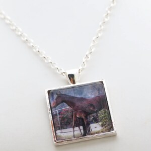 Horse And Foal Necklace, Photography, Photo Jewelry, Animal Photography image 4