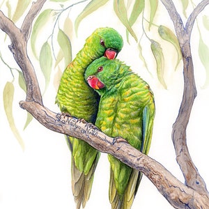 Scaly-Breasted Lorikeet bird print - Australian native wildlife print, bright green love birds, romantic wall art, birdwatching gift
