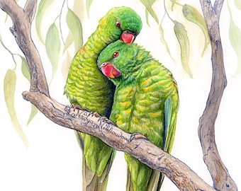 Scaly-Breasted Lorikeet print - Australian native wildlife print, bright green bird print, romantic wall art, love birds, birdwatching gift