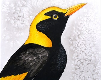 Regent Bowerbird art print - black and yellow wall art, Australian native print, watercolour bird print, black and gold modern wall decor