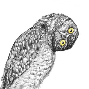 Whimsical Burrowing Owl drawing - quirky black and white bird art print for witchy home decor, Halloween wall art, goth gifts