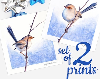 Fairy Wren print SET OF 2 - Australian bird set of 2 prints, female blue wren art, bird lover gift, native bird matching wall art gift idea