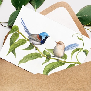 Fairy Wren Grußkarte - 5 x 7 Zoll Karte mit Umschlag leer innen, blauer Zaunkönig, Vogel Paar, australische Ureinwohner Vogel, Geschenk für Vogelliebhaber