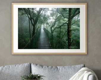 Mysterious Rainforest Bridge - dark nature photography print, emerald green wall art, green forest decor, moody forest print, Australian art