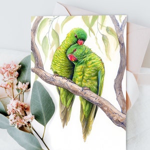 Carte de voeux australienne de loriquets - carte de 5 x 7 pouces avec enveloppe vierge à l'intérieur, art de paire d'oiseaux, carte d'oiseau indigène d'Australie, cadeau pour amoureux de la nature