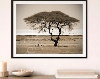 Sepia African Tree and Lions Photo Print - Etosha National Park Wall Art
