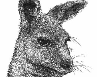 Kangaroo Art Print - Australian wildlife pen and ink drawing, Australian native animal, Australian art, black and white illustration
