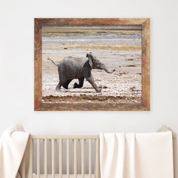 Impresión fotográfica de elefante bebé - Arte mural de guardería de safari