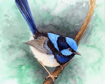 以下が含まれることがあります： 枝に止まっている青と黒の鳥の水彩画。鳥は白いお腹と長い青い尾を持っている。背景は柔らかな緑色です。