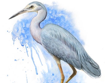 Heron print - Egret print - blue heron art, coastal art print sky blue art print hamptons watercolor print japandi decor Australian bird art
