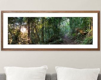 Rainforest Sunset panoramic wall art, nature photography print, emerald green decor, green forest wall art, Queensland Australian bush