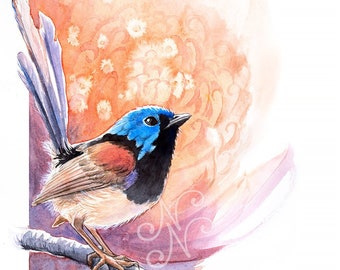 Sunrise Fairy-Wren and Waratah print - bright wall art, bird lover gift, Australian native bird print, nature decor watercolour
