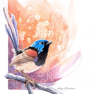 Sunrise Fairy-Wren and Waratah print bright wall art, bird lover gift, Australian native bird print, nature decor watercolour image 1