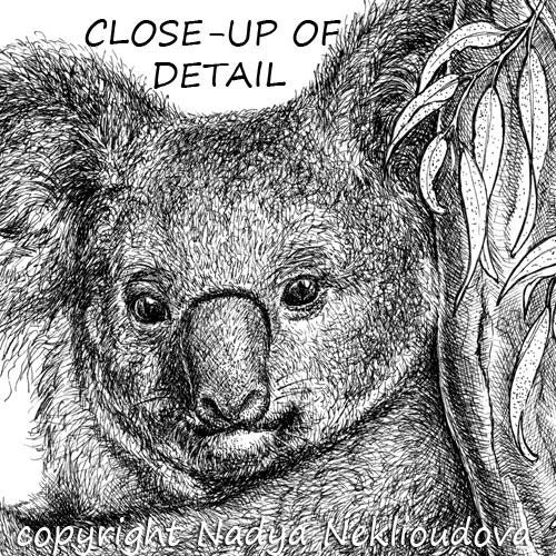 Koala Art Print Australian Animal Pen and Ink Drawing Koala Drawing