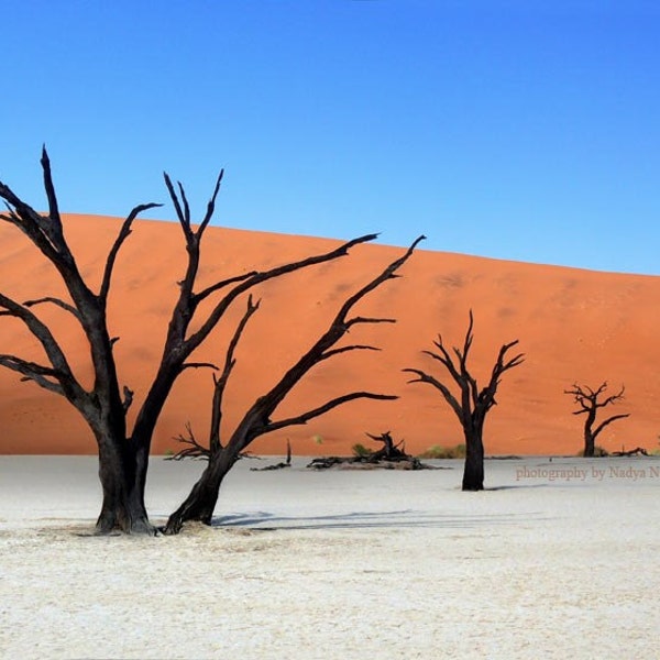 L'impression photo Silent Desert - photographie surréaliste de paysage africain, Namibie, arbre africain, art mural du désert, photographie des dunes de sable
