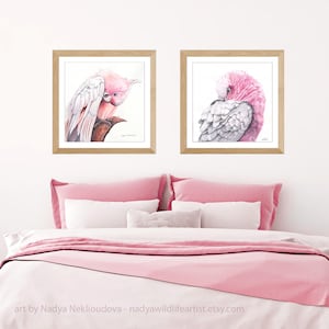 Galah pink and grey wall art Australian cockatoo print, pink bird painting, parrot print, Australian seller, pink cockatoo art print image 5