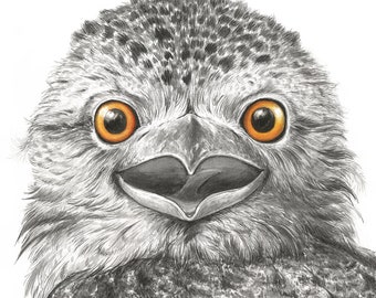 Tawny Frogmouth Art Print - Australian bird print, funny bird watercolour print, woodland owl lover gift, Australian owl art, whimsigoth