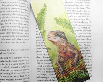 Wildlife Art Bookmark - Water Dragon - canvas printed bookmark  2x6 inches (5x15cm) - Australian lizard animal art print