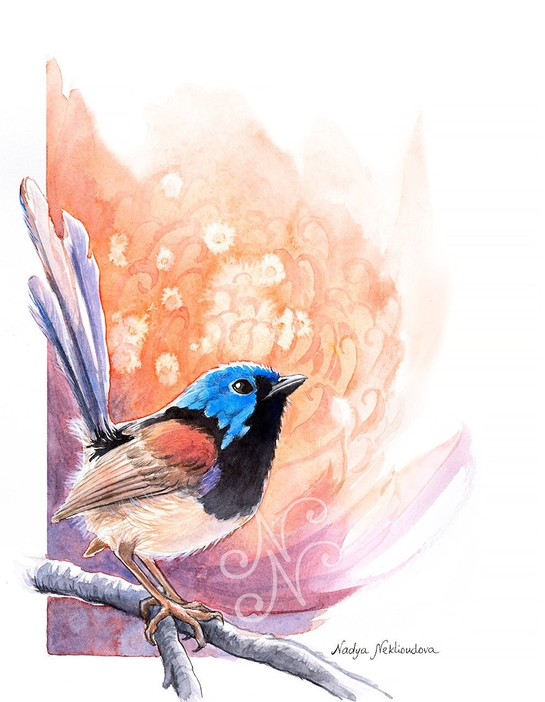 Sunrise Fairy-Wren and Waratah print bright wall art, bird lover gift, Australian native bird print, nature decor watercolour image 1