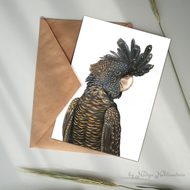 Op de afbeelding: Een zwarte en gouden kaketoe met een zwarte kuif op een witte achtergrond. De vogel kijkt naar rechts en heeft een gele snavel. De afbeelding is gesigneerd met "by Nadya Nekliudova".