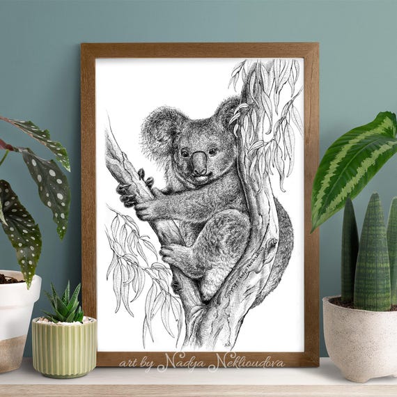 Koala Art Print - Australian Wildlife Drawing, Realistic Black and White Nature Art Illustration