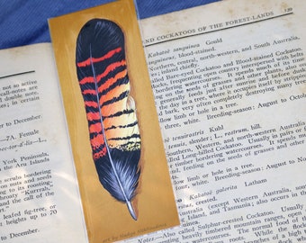 Schwarze Kakadufeder Lesezeichen - Australischer Vogel Kunstdruck für Buchliebhaber
