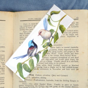 Wren Bookmark canvas bookmark print 2x6in 5x15cm Australian native bird print, variegated fairywren gift, book lover gift, Australiana image 1